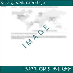 グローバルリサーチ調査資料のイメージ
